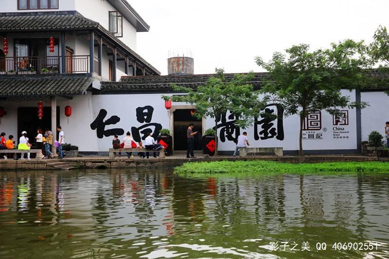 小僵尸射飞鸟